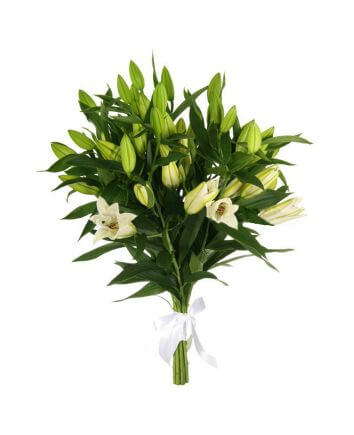 Bouquet "Spring charm"