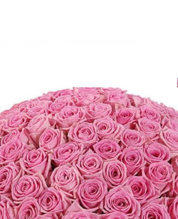 101 розовых роз в шляпной коробке