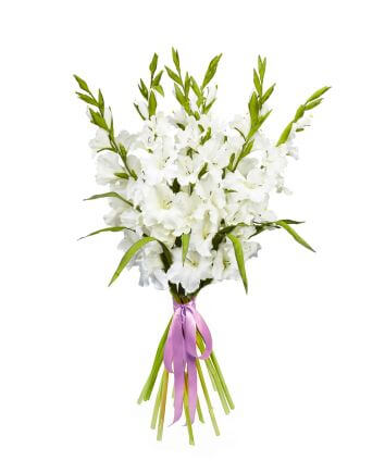 Букет с белыми гладиолусами