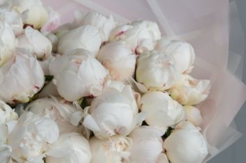 Букет из белых пионов