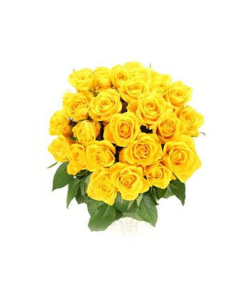 розы желтые