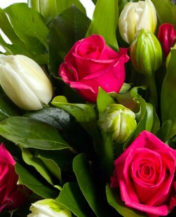 Букет "Свежесть"