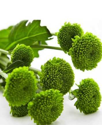 Композиция "Солнечная поляна"