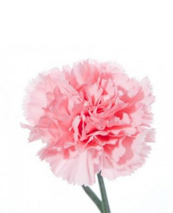 Букет "Восточная сказка"