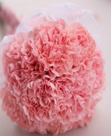 Букет из розовых гвоздик