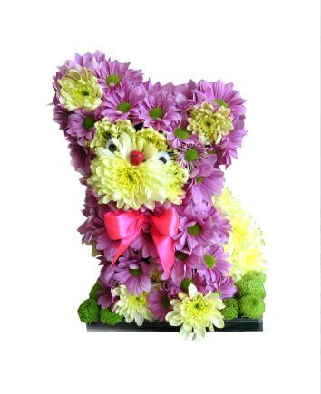 Композиция "Забавный котёнок"