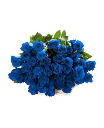Букет из 101 синей розы