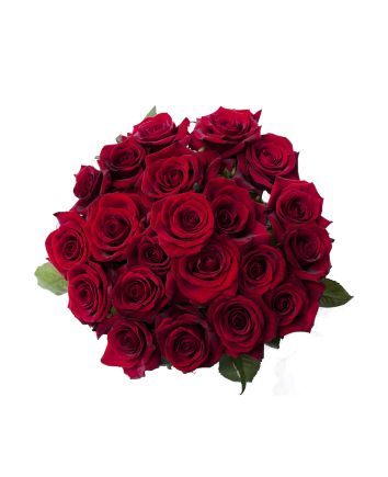 Букет из 33 голландских роз 70 см