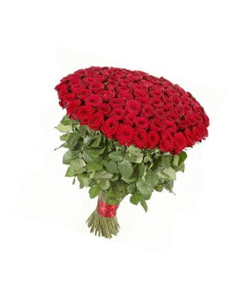 Букет из 151 красной розы 70 см