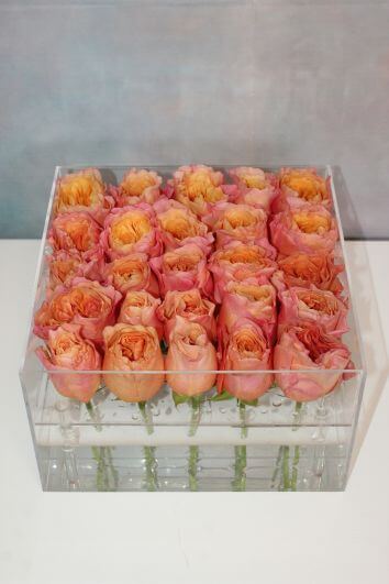 Розовое прикосновение