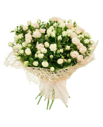 букет 35 кремовых кустовых роз