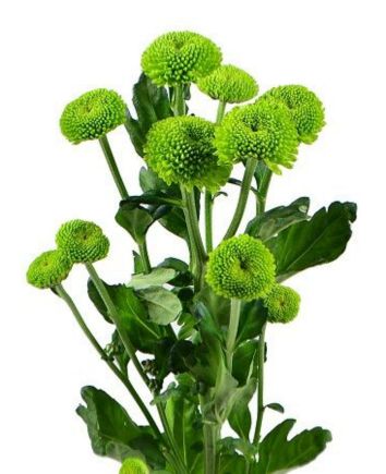 Букет "Винтаж"