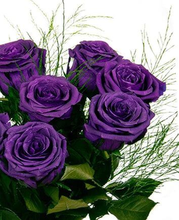 Фиолетовые розы 9 штук