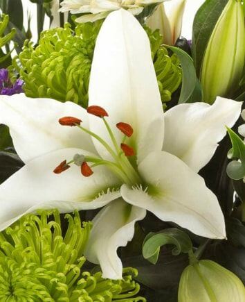 Букет "Рождественское утро"