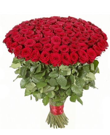 Красные розы Премиум 80 см